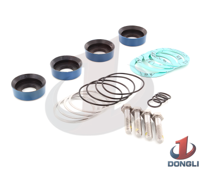 CYLINDER PACKING KIT ABRASIVE SERVICE FOR FMC BEAN E0413