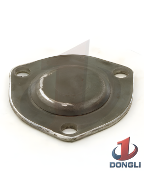 Pinion Bearing Housing Blind Side for FMC Bean L09 Series