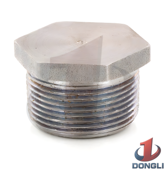 Plug 1-1/4 Inch